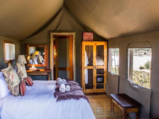 Buffelsdrift Game Lodge - 197394