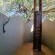 Pilanesberg Private Lodge - 197406