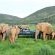 Kariega Game Reserve - 197420