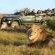 Kariega Game Reserve - 197423