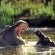 Kariega Game Reserve - 197425