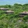 Kariega Game Reserve - 197427