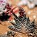 Sanbona Wildlife Reserve - 197505
