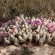 Sanbona Wildlife Reserve - 197506