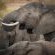Sanbona Wildlife Reserve - 197507