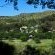 Eingedi Retreat - 197534