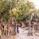 Lesedi Cultural Village - 197740