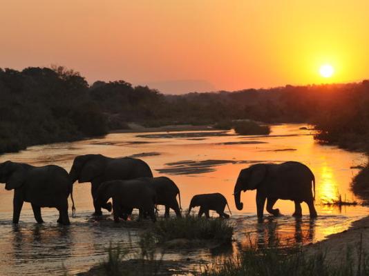Inyati Game Lodge, Sabi Sand Nature Reserve