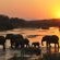 Inyati Game Lodge, Sabi Sand Nature Reserve
