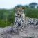 Inyati Game Lodge - 198148