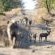 Inyati Game Lodge - 198151