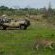 Inyati Game Lodge - 198158