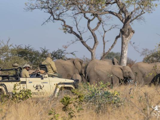 Inyati Game Lodge, Sabi Sand Nature Reserve