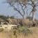 Inyati Game Lodge, Sabi Sand Nature Reserve