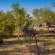 Inyati Game Lodge, Sabi Sand Nature Reserve