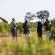 Inyati Game Lodge, Sabi Sand Nature Reserve