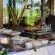 Inyati Game Lodge, Sabi Sand Nature Reserve