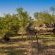 Inyati Game Lodge, Sabi Sand Nature Reserve