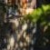 Inyati Game Lodge, Sabi Sand Nature Reserve