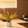 Leipoldt Self Catering Apartment - 198337