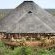 Laluka Safari Lodge - 198695