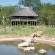 Kwa Mbili Game Lodge - 199019