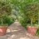 Blue Gum Country Estate - 199131