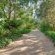 Blue Gum Country Estate - 199141