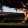 Blue Gum Country Estate - 199142