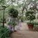 Blue Gum Country Estate - 199144