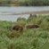Elephant Walk Retreat - 199214