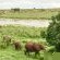 Elephant Walk Retreat - 199218