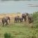 Elephant Walk Retreat - 199219