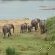 Elephant Walk Retreat - 199219
