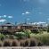 Dibiki Holiday Resort - 199318