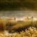 Orange River Rafting Lodge - 199357