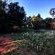 Magalies BnB - 199436