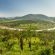 Madwaleni River Lodge - 199503