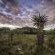 Madwaleni River Lodge - 199504