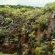 Matatane Wilderness Camp - 199697