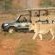 Garden Route Game Lodge - 199712