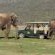 Garden Route Game Lodge - 199717