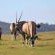 Garden Route Game Lodge - 199721