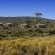 Garden Route Game Lodge - 199762