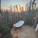 Garden Route Game Lodge - 199763