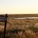 Mokala National Park - 199770