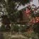 Tsitsikamma Lodge and Spa - 199789