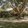 Tsitsikamma Lodge and Spa - 199798