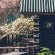 Tsitsikamma Lodge and Spa - 199800