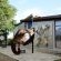 Main Camp - Addo Elephant Park - 199901